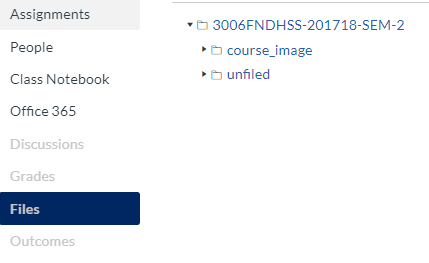 Canvas Course Files Area