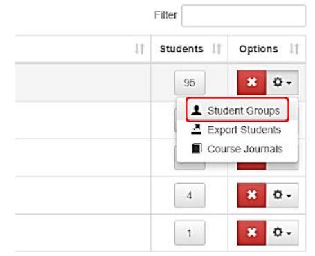 Screen grab of course groups, Student Groups button highlighted.