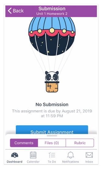 Assignment submission page on student iOS app v6.6