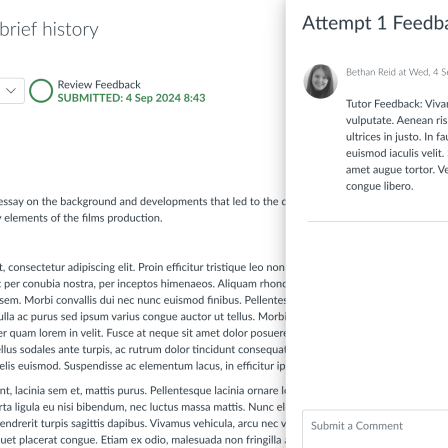 The assignment window opens the feedback tray automatically to show you any comments from your tutor.