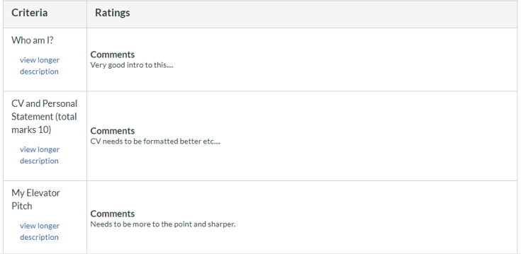 Screeenshot showing three criteria in a rubric with free form comments as a student would see it.