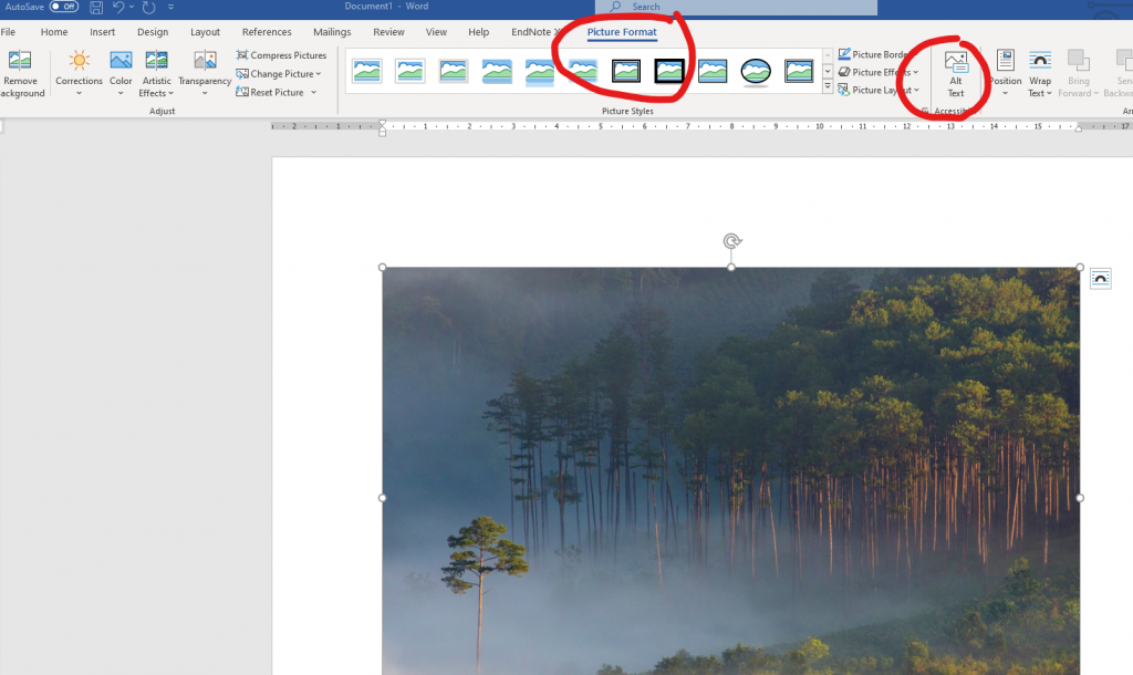 Apply Alt Text to an image in MS Word by navigating to the 'Picture Format tab and then accessing the 'Alt Text' option. 