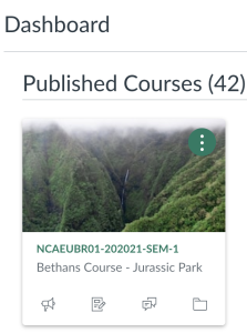 Courses are organised into 'published' and 'unpublished' sections on the Canvas Dashboard.