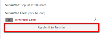 Speedgrader interface showing the waiting icon and the Resubmit to Turnitin button 