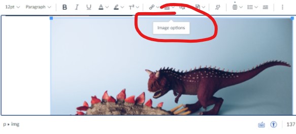 Screen grab highlighting the 'Image Options' feature when an image is selected.