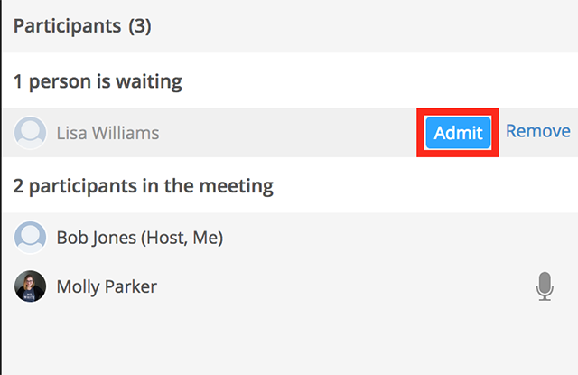 zoom waiting room participants list zoom waiting room participants